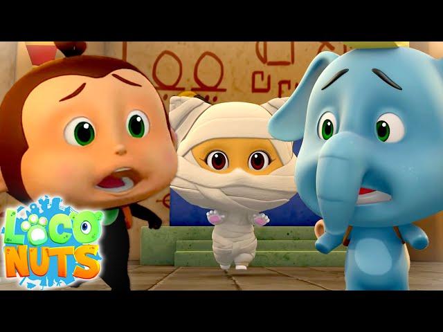 Cartoon Show For Kids | Fun Videos For Babies with Loco Nuts