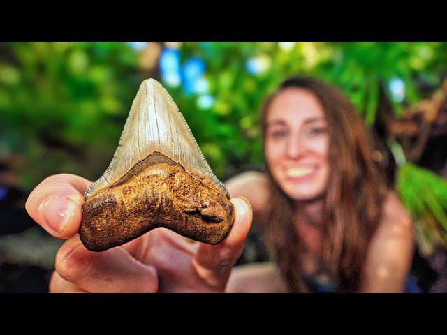 Our BEST Shark Tooth Hunt in AGES! Just Before Hurricane Helene Hits ️