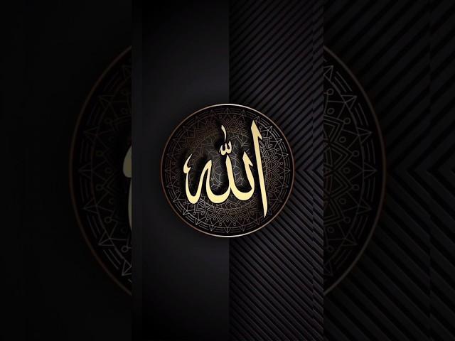 Why are these parts of our body so important? #islam #islamicstatus #viralshorts #facts