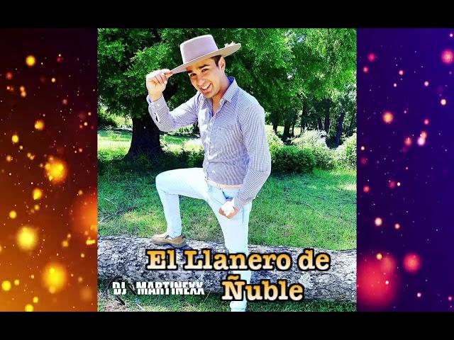 EL LLANERO DE ÑUBLE MIX 2021  DJ MARTINEXX 