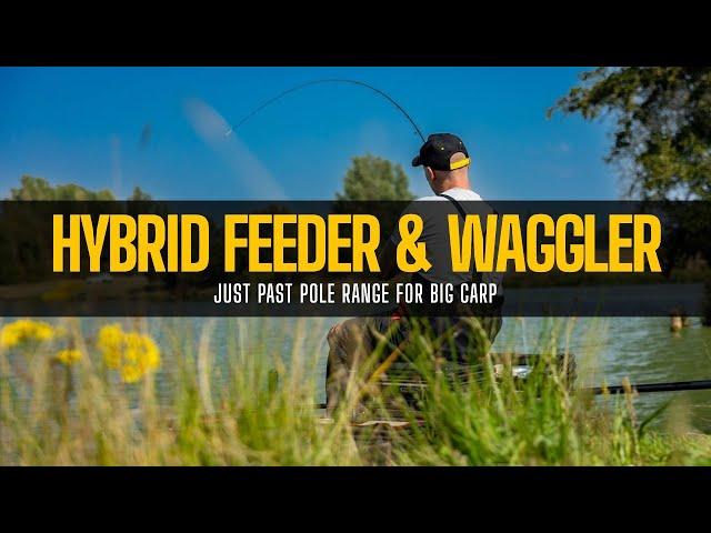 Hybrid Feeder & Waggler Tactics for Big Carp Just past Pole Range | Rob Wootton