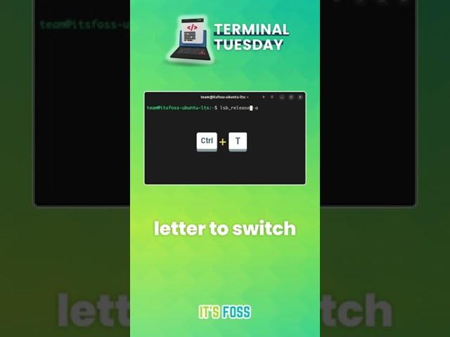 Be more productive in the terminal with this tip! 