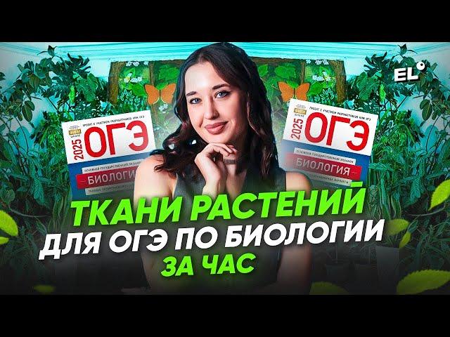 ТКАНИ РАСТЕНИЙ ДЛЯ ОГЭ ПО БИОЛОГИИ ЗА ЧАС | ГЕЛЯ БИОЛОГИЧКА | ЕГЭLAND