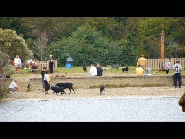 Great Dog Park - The Lighthouse Lady