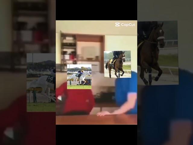 Barbaro  #besthorse #legend
