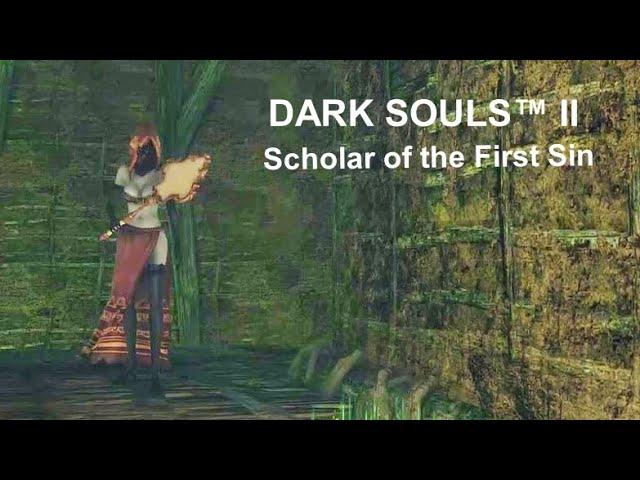 Dark Souls II  #11  -  Долина Жатвы