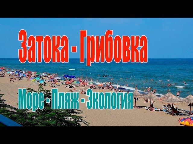 Затока Грибовка Отдых Море Пляжи. Экология Черного моря в Одесской области.