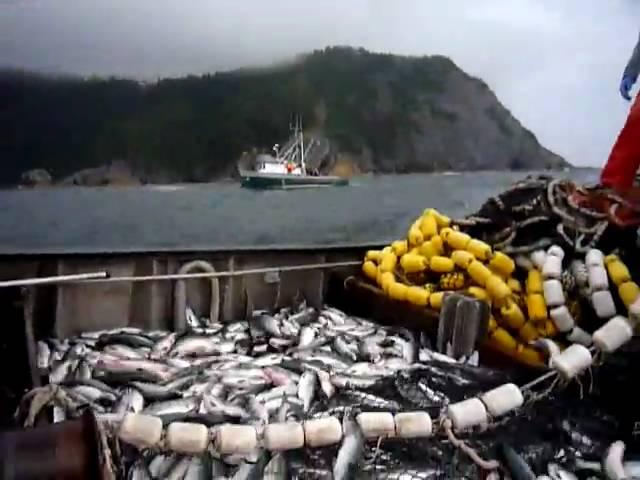 Fishing in AK (P1020357.MOV)