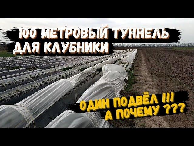 Всё таки не выдержал.... 100 метровый туннель(парник) для клубники.