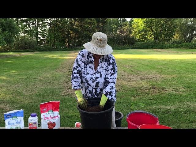 Planting Peppers in Containers