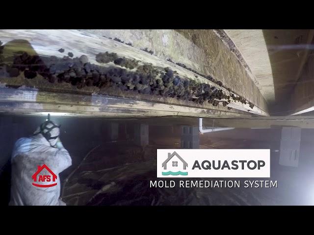 Crawl Space Encapsulation - A Healthier Home