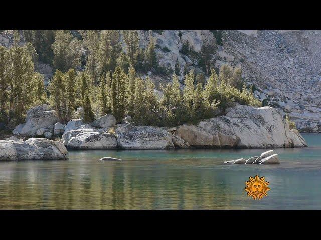 Nature: Kings Canyon National Park