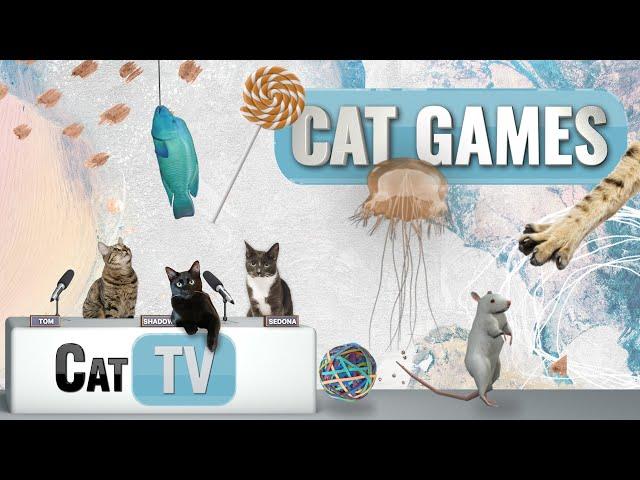 Cat Games | Ultimate Cat TV Compilation Vol 6 | 1 HOUR 