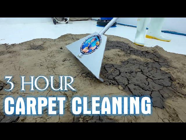 Ultimate Deep Sleep: Relaxing ASMR Carpet Cleaning for Perfect Sleep - 3 Hour Carpet Cleaning