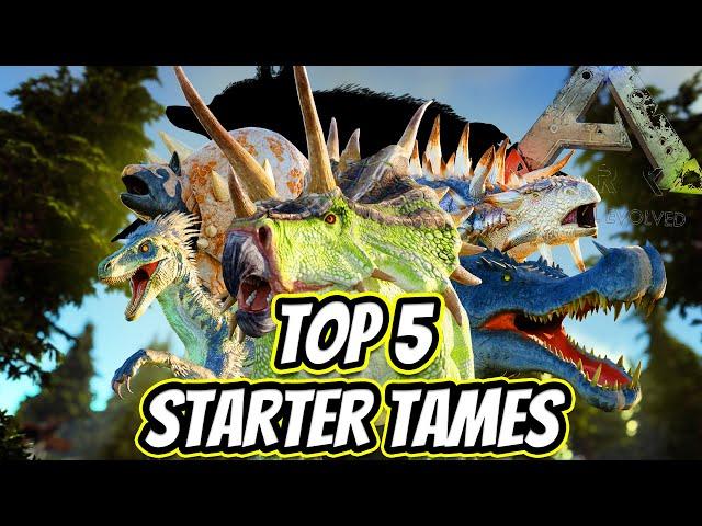 TOP 5 STARTER TAMES TO TAME FIRST IN ARK SURVIVAL EVOLVED 2022!!