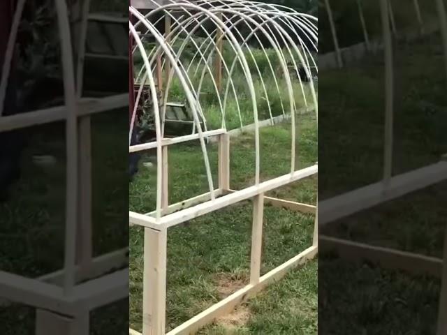 PVC Chicken Tractor