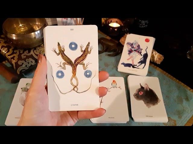 Trickster's Journey Tarot - Unwrapping & Review