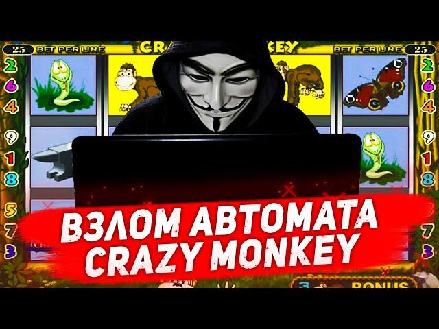 Алгоритм взлома игрового автомата Crazy Monkey в казино Вулкан