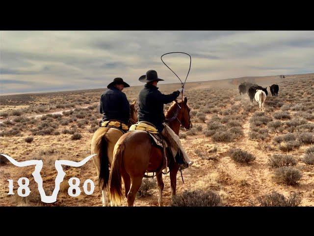 Preparing For Deep Winter Ranching In The Desert. More From 2024