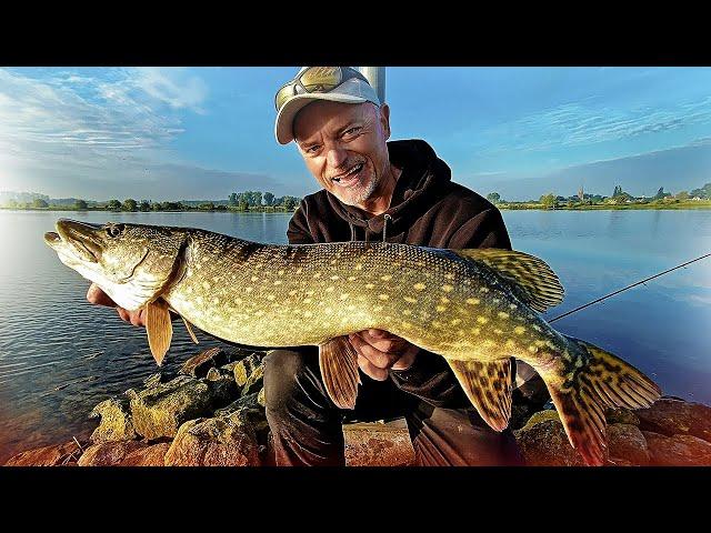 Erfolgreich Angeln vom Ufer - so fängst du MEHR FISCH im Fluss!