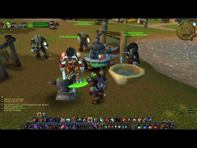 World of Warcraft: Warrior: Brutal Helm