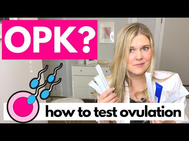 How Do You Use an OPK? Fertility Doctor Explains Testing Ovulation and Ovulation Predictor Kits