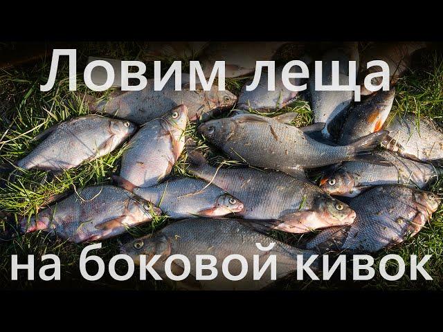 Лещ на боковой кивок | Весна | Река | Летняя мормышка