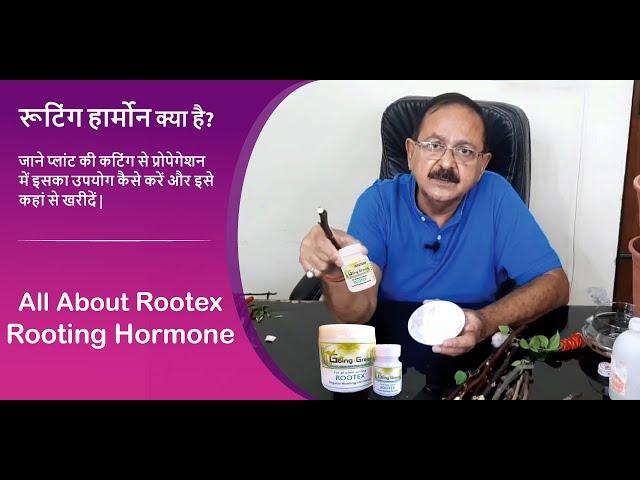 Rooting Hormone for Plants I Rooting Hormone Use I रूटिंग हार्मोन क्या है? कैसे उपयोग करें |