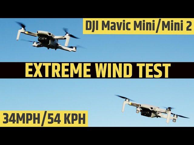 DJI MINI 2 VS MAVIC MINI EXTREME WIND TEST COMPARISON