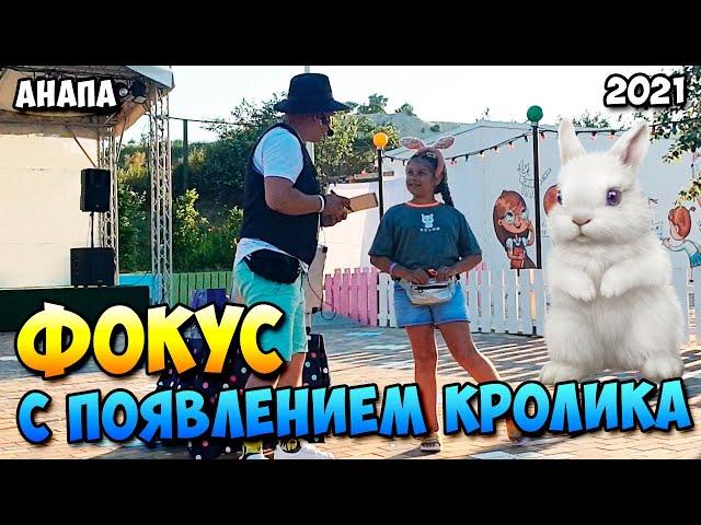 Фокус с кроликом