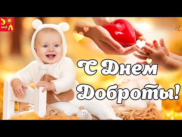 13 ноября День Доброты! С Днем Доброты! Красивое поздравление с Днем Доброты! Всемирный день доброты