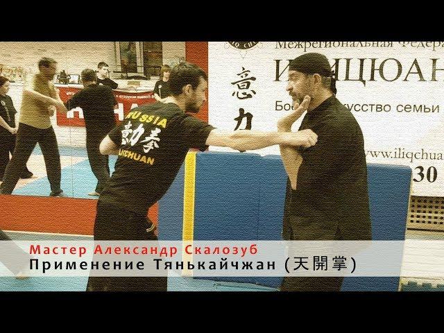 Iliqchuan | Master Alex Skalozub: Application of Tiankaizhang (天開掌)