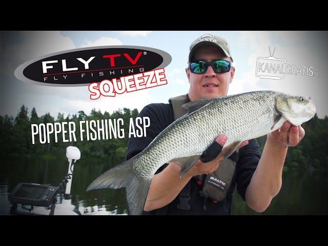 FLY TV Squeeze - Popper Fishing for Asp (Fly Fishing)