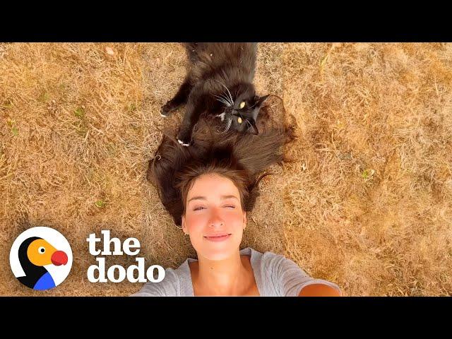 Feral Cat Takes 3 Years To Trust This Woman! | The Dodo