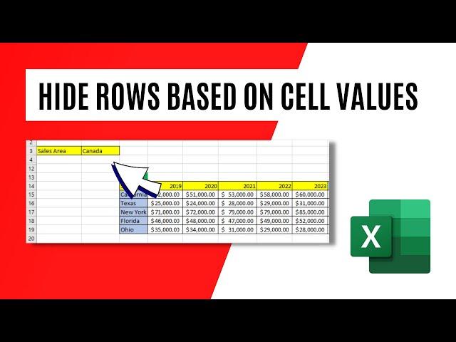 How to Hide Rows Based on Cell Values In Excel