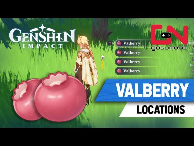 Genshin Impact Vallbery Locations - Lisa & Noel Ascension