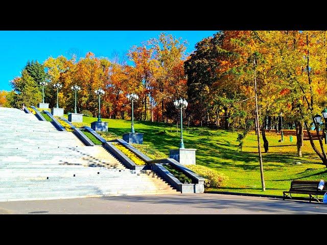 Золотая осень в Городском саду. Харьковские хризантемы. 27.10.2024