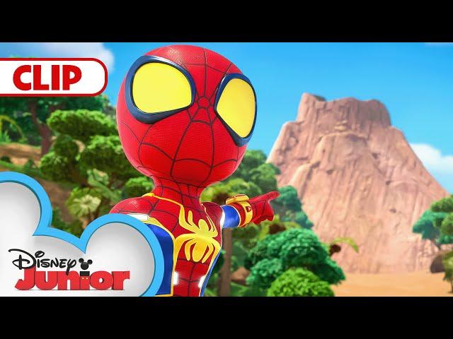 Team Spidey Saves Iguana Sanctuary! | Marvel's Spidey and his Amazing Friends | @disneyjr​