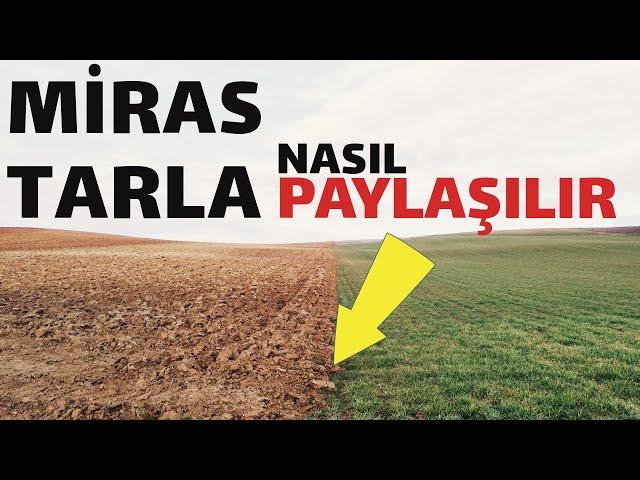 Miras kalan tarla nasıl paylaşılır, 6537 sayılı kanun nasıl uygulanır