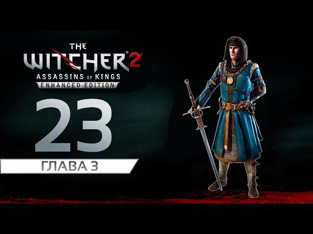 Прохождение: The Witcher 2 - Assassins of Kings | Именем Темерии | Главный Свидетель [#23]