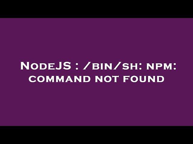 NodeJS : /bin/sh: npm: command not found