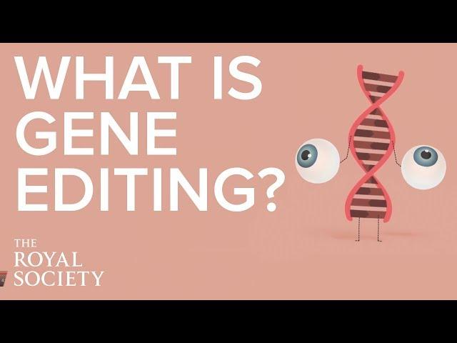 What is gene editing and how does it work? | The Royal Society