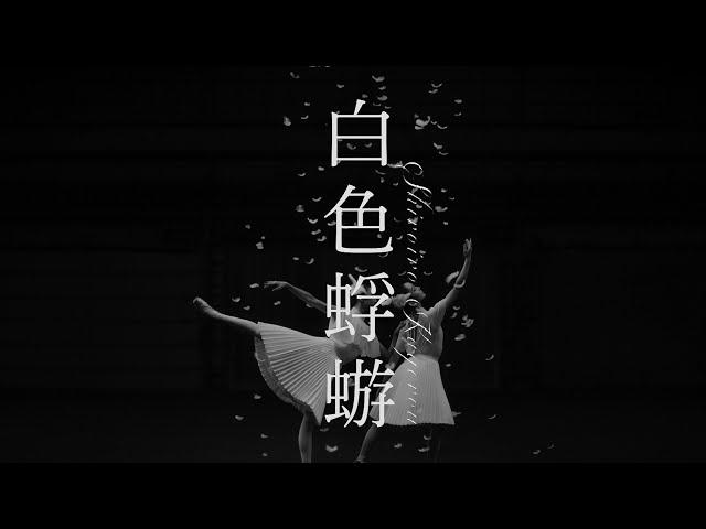 Aimer「Shiroiro Kagerou」 Music Video