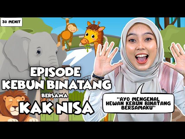 Belajar dan Bermain Episode Hewan Kebun Binatang Untuk Balita - Belajar Kata, Lagu Interaktif Balita