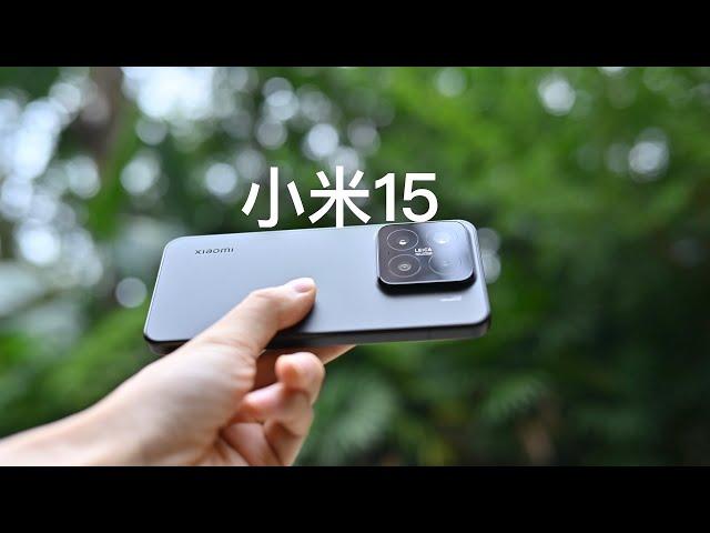 小米15开箱，都有哪些升级和变化？｜Xiaomi 15 Unboxing