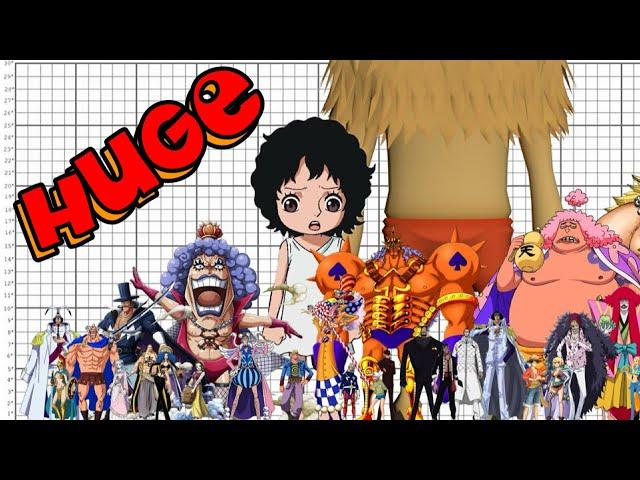 Okay, WHY are One Piece Characters THIS BIG?!