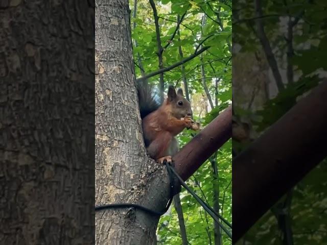 Всё ли вы знаете про ЖК Серебряный фонтан?