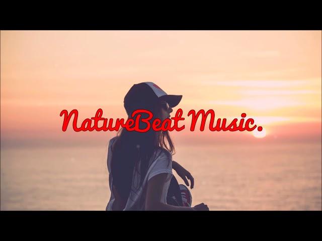 Julia Michaels - Issues (NaTure Beat Music. Remix) [NBeat Music.]