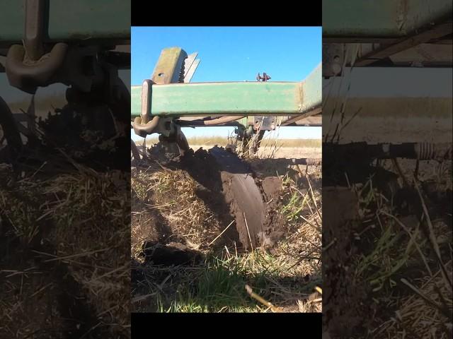 Working some wheat stubble pre soybean harvest #farm #farmlife #farmequipment #tractor #fall