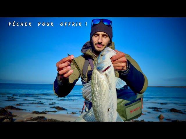 PÊCHER pour OFFRIR ! Je cueille un BAR au Red Pepper !!! ( Pêche du bar au leurre du bord )